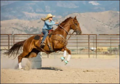 Comment s'appelle cette discipline équestre ?