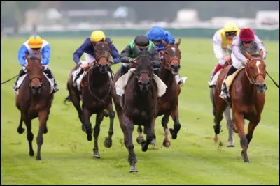 Comment s'appelle cette discipline équestre ?