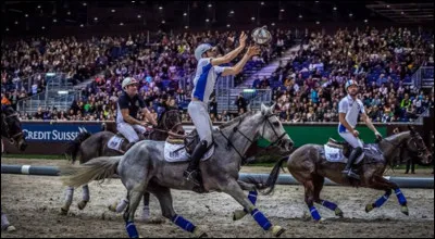 Comment s'appelle cette discipline équestre ?