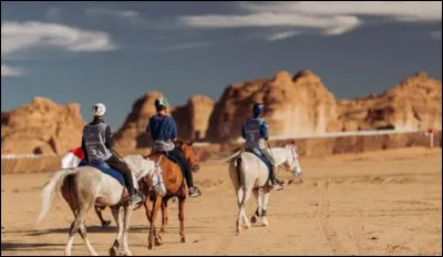 Comment s'appelle cette discipline équestre ?