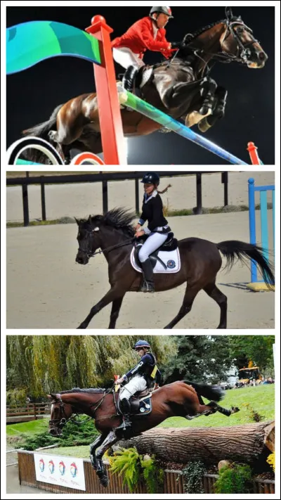 Comment s'appelle cette discipline équestre ?