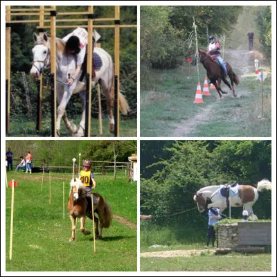 Comment s'appelle cette discipline équestre ?