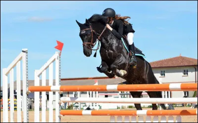 Comment s'appelle cette discipline équestre ?