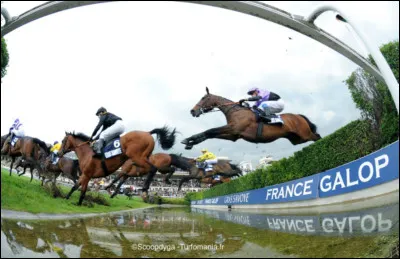 Comment s'appelle cette discipline équestre ?