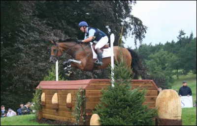 Comment s'appelle cette discipline équestre ?