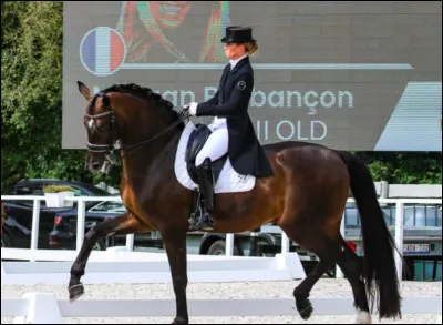 Comment s'appelle cette discipline équestre ?