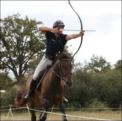 Comment s'appelle cette discipline équestre ?