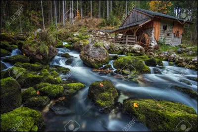 Dans "Les Trois Frères", lequel des trois hérite de la maison ?