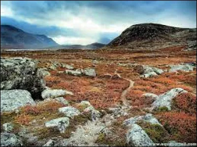 Géographie : Quel terme désigne une formation végétale située dans les zones climatiques froides, polaires ou montagnardes, constituée d'une strate végétale unique principalement composée de graminées, de carex, de lichens, de mousses et de diverses variétés d'arbrisseaux ?