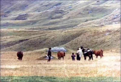 Qui marche dans le film La trace ?