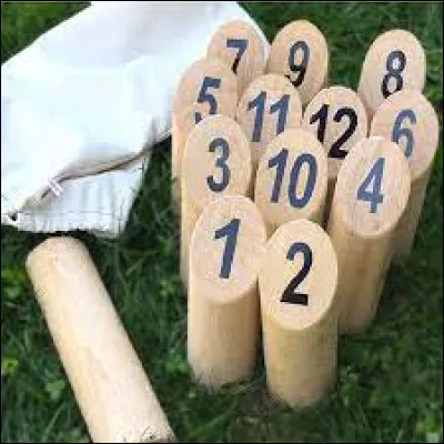 Sport et loisir : Quel est le nom de ce jeu d'adresse ?