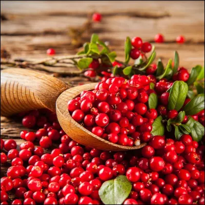 La canneberge est reconnue pour quelle qualité thérapeutique ?