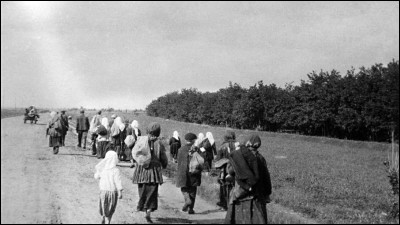 Histoire : Dans quel pays a eu lieu l'holodomor qui se traduit par "extermination par la faim'' en 1932 et 1933 ?