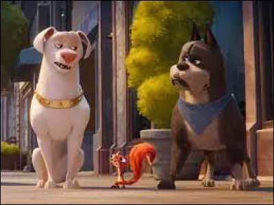 Cinéma : Lequel de ces films n'a pas pour héros un chien ?