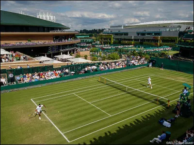 Au tennis quel tournoi du grand chelem est disputé sur gazon en juin et en juillet ?