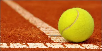 Combien pèse en moyenne une balle de tennis réglementaire ?