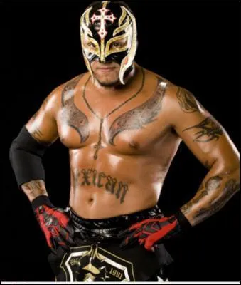 Quand entre-t-il a la WWE ?