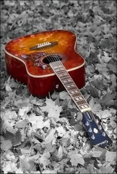 Qui interprète les paroles "Enfin je me dis que la vie est belle, avant elle était juste jolie", dans sa chanson "Ma lumière" ?