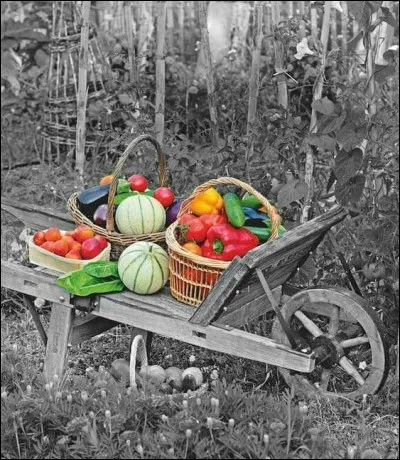 À quoi correspond "la Belle de Fontenay" ?