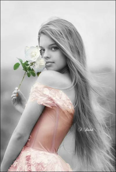 Dans les années 60, qui voulait être "la plus belle pour aller danser" ?