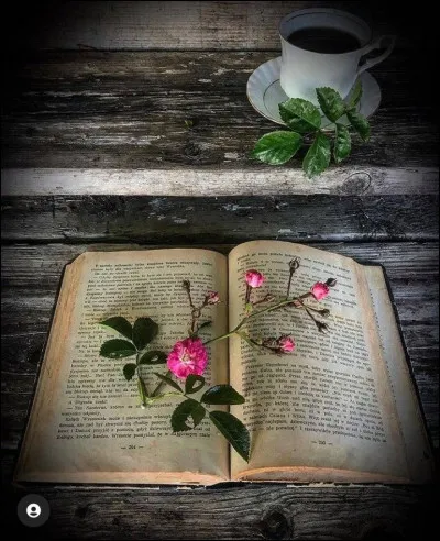 Qui est l'auteur du roman "Belle du Seigneur" ?