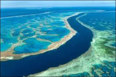 Géographie : Où se situe la grande barrière de corail par rapport à l'Australie ?
