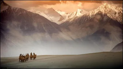 Quelle est cette route qui doit son nom au géographe Ferdinand van Richthofen, empruntée par des marchands, qui partait de Chine, reliant la ville de Chang'an (actuelle Xi'an) en Chine à la ville d'Antioche, en Syrie médiévale (aujourd'hui en Turquie) ?