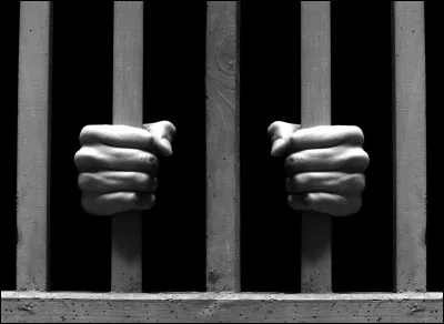 Qui est "libre dans sa tête" pour France Gall  ?