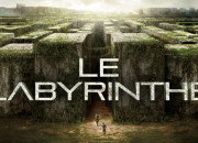 Test Survivrais-tu dans ''Le Labyrinthe'' (le film ) ?