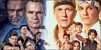 C - "Cobra Kai".
Sur quelle plateforme de streaming est Cobra Kai ?