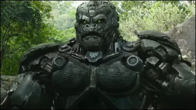 C'est le chef des Maximals. Il a une apparence de gorille. Quel est son nom ?