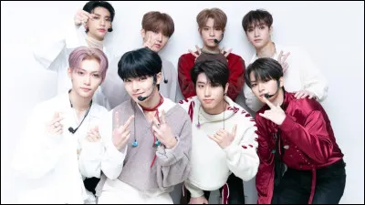 Qui a fait un cover de ''Back Door'' de Stray Kids ?