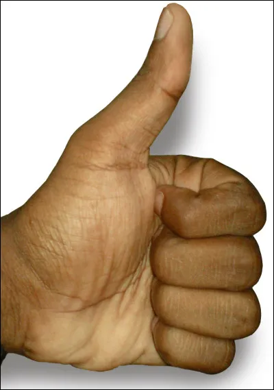 Quelle est ta meilleure qualité ?