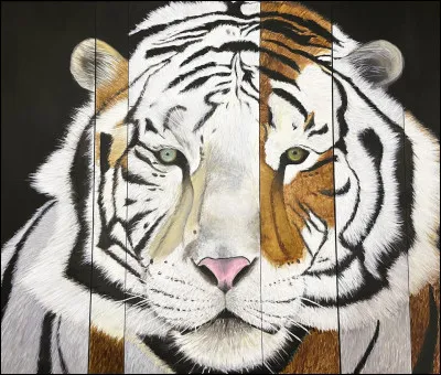 Dans cette phrase, y a-t-il une erreur ?

"Ça fait toujours plasir de te voir !"