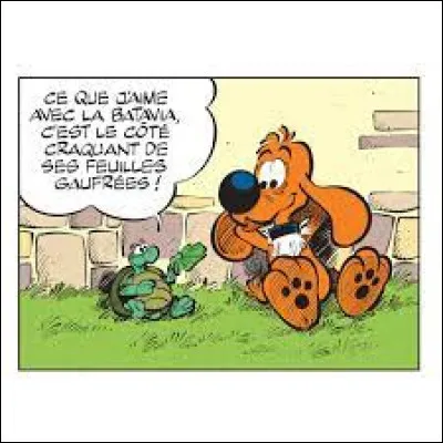 Littérature : Comment se prénomme la tortue, amie de Boule et Bill ?
