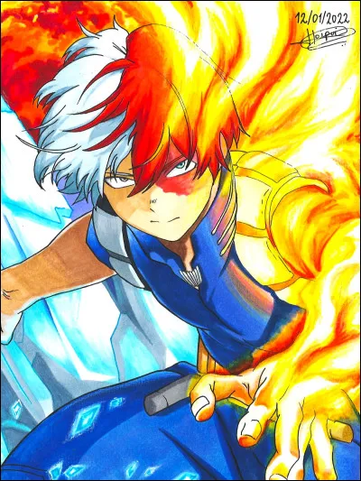 Quelle est la popularité du personnage de Shoto, auprès de la communauté ?