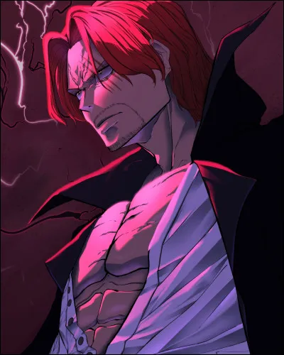 Qui Shanks a-t-il inspiré ?