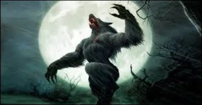 Quelle est la seconde appellation du loup-garou ?