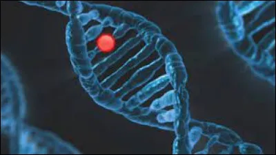 Quelle maladie est causée par l'absence de mélanine ?