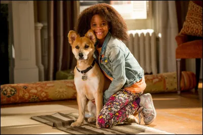 Comment se nomme l'assistant de Will ?