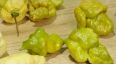 ''Le pepper X'' est le piment le plus fort au monde. Quelle échelle utilise-t-on pour mesurer la force des piments ?
