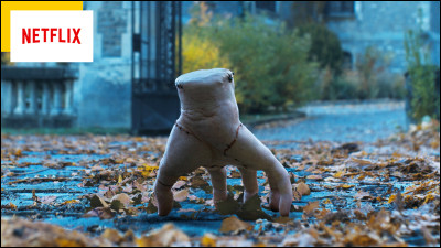 Son compagnon le plus fidèle...