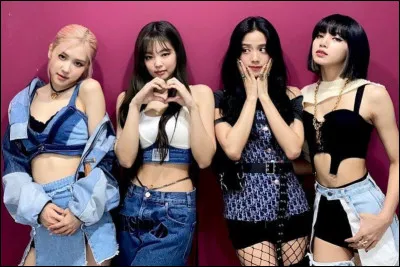 Dans un groupe de K-pop, tu préférerais être...