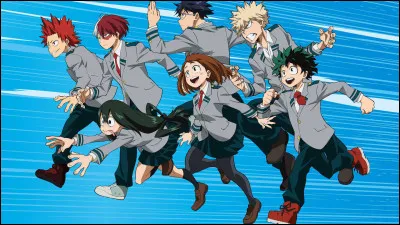 Tu es attiré(e) par :