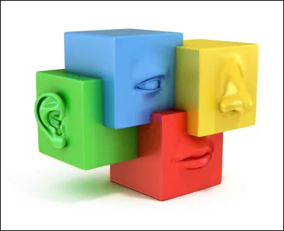 À quoi te fies-tu ?