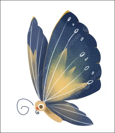 Comment dit-on "papillon'' ?