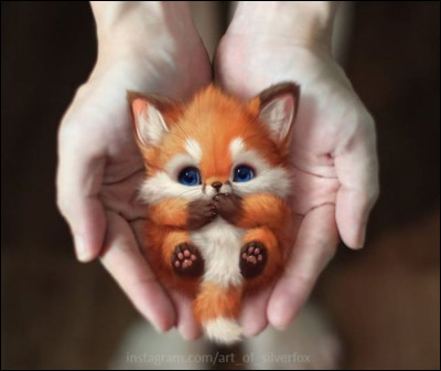 Veux-tu que ton personnage soit mignon, ou plutôt normal ?