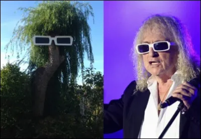Michel Polnareff est un grand ami de Christophe Rocancourt !