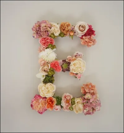 Estocaficada : qu'est-ce ?