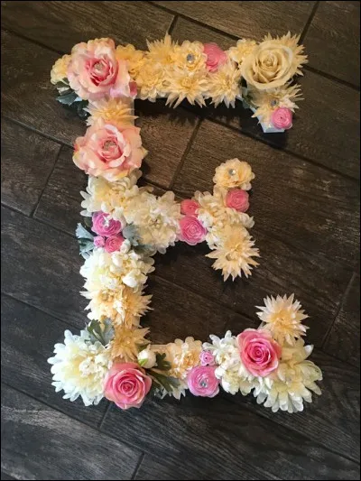 Emma : Vous souvenez-vous du nom de jeune fille d'Emma Bovary devenue l'épouse de Charles ?